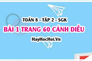 Bài 1 trang 60 Toán 8 Tập 2 Cánh Diều